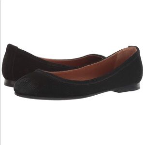 NWT FRYE Ballet Flat